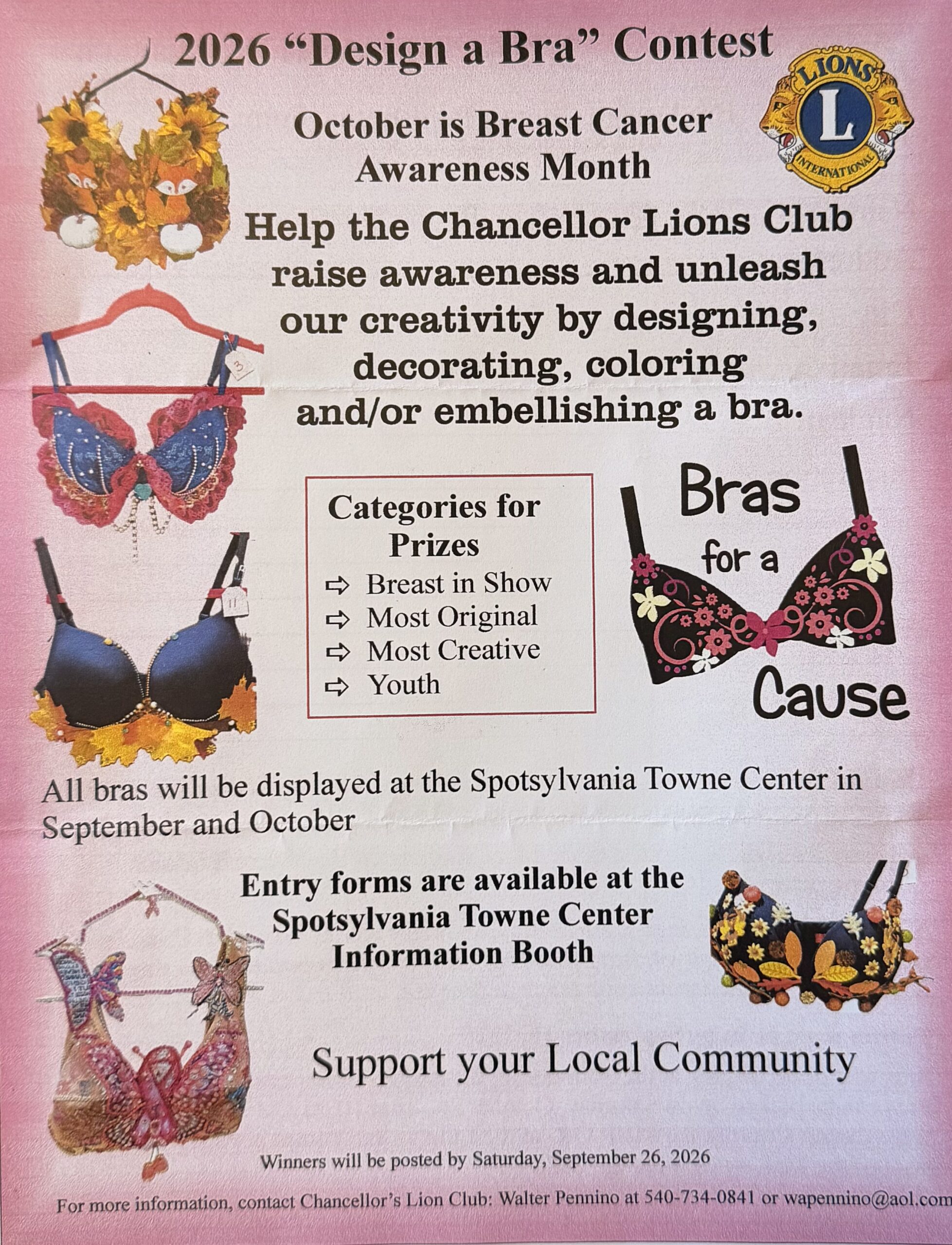 Design a Bra Chancellor